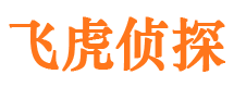 盘县市侦探调查公司